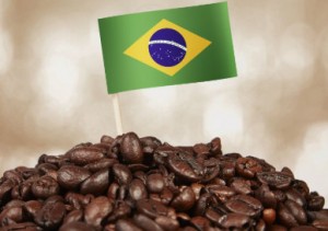 Brasil domina la producción mundial de café con más de un tercio de la cosecha global