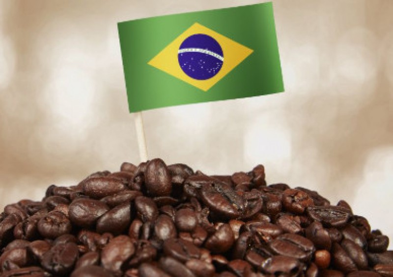 Brasil domina la producción mundial de café con más de un tercio de la cosecha global