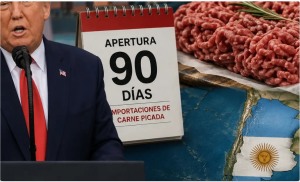 Qué esperan los frigoríficos argentinos de la nueva jugada de Trump con la carne