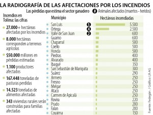 Hay afectaciones en 27.000 hectáreas por incendios en Tolima, superior al área de Usme