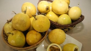 Exportación peruana de jugo de maracuyá supera los USD56 millones hasta julio