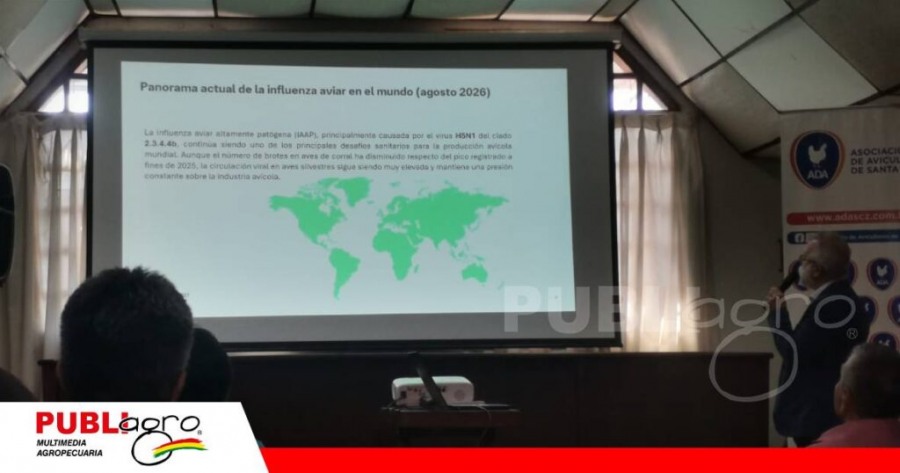 Avicultura apuesta por vacunas vectorizadas para enfrentar la influenza aviar