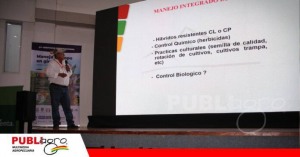 Control biológico se suma a la estrategia para enfrentar el jopo en girasol