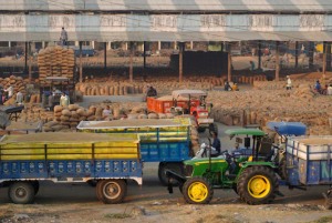 La producción de arroz de la India se enfrenta a la mayor caída en dos décadas, las existencias amortiguan las exportaciones