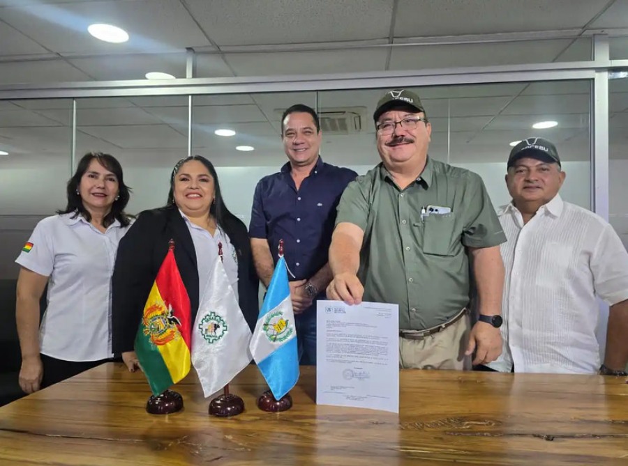 Genética cebuina boliviana cruza fronteras: exportan 570 embriones de Nelore a Guatemala