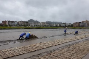 China publica plan para fortalecer el seguro agrícola