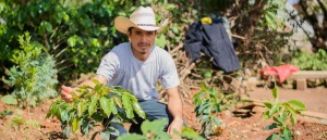 La Conferencia Global del Mecanismo para Bosques y Fincas convoca a impulsar una transición rural justa