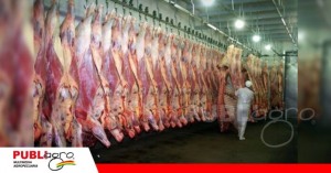 Exportación de carne bovina genera $us 121 millones hasta julio y mantiene a China como principal destino