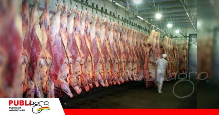Exportación de carne bovina genera $us 121 millones hasta julio y mantiene a China como principal destino