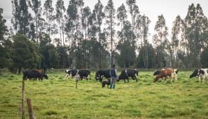 La agricultura de precisión llega a la ganadería para mejorar productividad y reducir emisiones