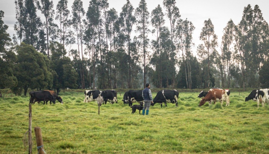 La agricultura de precisión llega a la ganadería para mejorar productividad y reducir emisiones