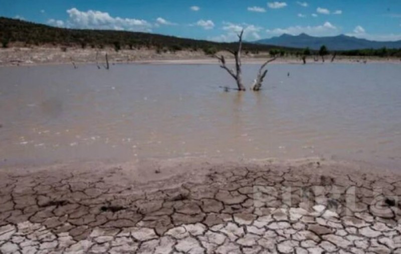 Super Niño: productores deben prepararse para meses críticos