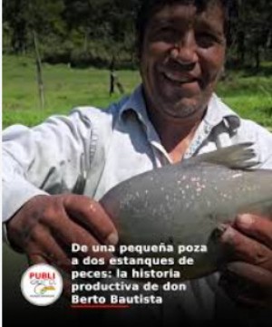 Bolivia: De una pequeña poza a dos estanques de peces: la historia productiva de don Berto Bautista