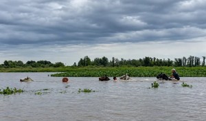 Argentina: ¿No es El Niño? El bloqueo atmosférico que impacta al clima y qué zonas están en riesgo por las crecidas