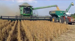 Bolivia: Exportaciones de soya y sus derivados hasta agosto superan los $us753 millones