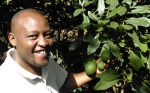 Eosta comercializa paltas orgánicas desde Kenia bajo el nombre “Afrocados”