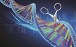 CRISPR elimina el VIH en animales vivos