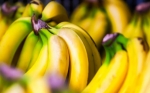 Las bananas y los plátanos podrían tener los días contados