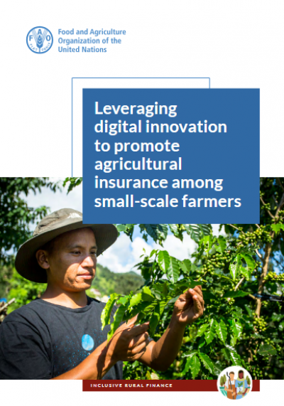 Aprovechar la innovación digital para promover los seguros agrícolas entre los pequeños agricultores.