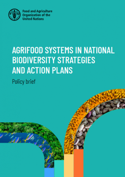 Sistemas agroalimentarios en las estrategias y planes de acción nacionales sobre biodiversidad