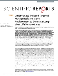 La mutagénesis dirigida y la sustitución genética inducida por CRISPR/Cas9 para generar líneas de tomate de vida útil larga