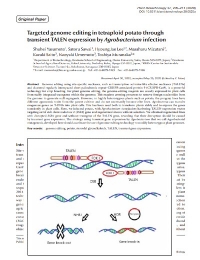 Edición dirigida del genoma en papa tetraploide a través de la expresión transitoria de TALEN por infección por Agrobacterium