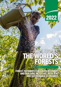 El Estado de los Bosques del Mundo 2022