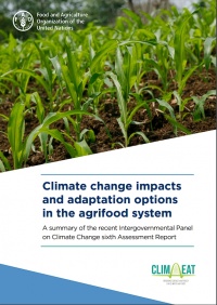 Impactos del cambio climático y opciones de adaptación en el sistema agroalimentario
