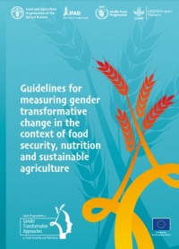 Directrices para medir el cambio transformador de género en el contexto de la seguridad alimentaria, la nutrición y la agricultura sostenible