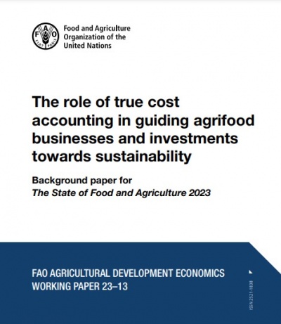 El papel de la verdadera contabilidad de costos para guiar las empresas y las inversiones agroalimentarias hacia la sostenibilidad