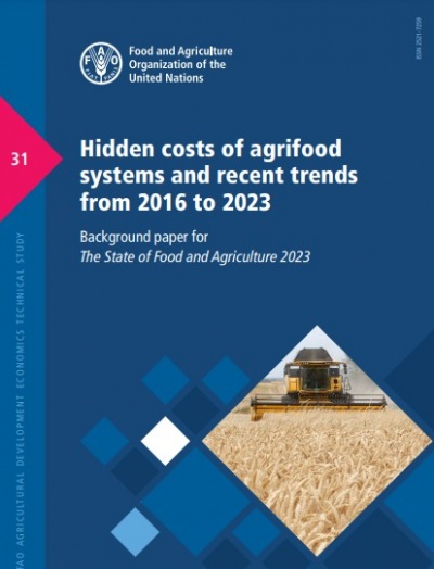 Costos ocultos de los sistemas agroalimentarios y tendencias recientes de 2016 a 2023