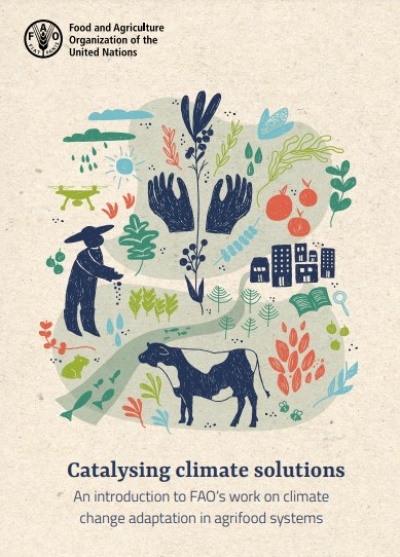 Catalizando soluciones climáticas