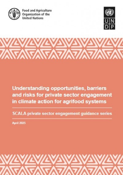 Comprender las oportunidades, barreras y riesgos de la participación del sector privado en la acción climática para los sistemas agroalimentarios