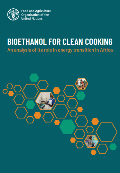 Bioetanol para la cocina sostenible: Un análisis de su papel en la transición energética en África