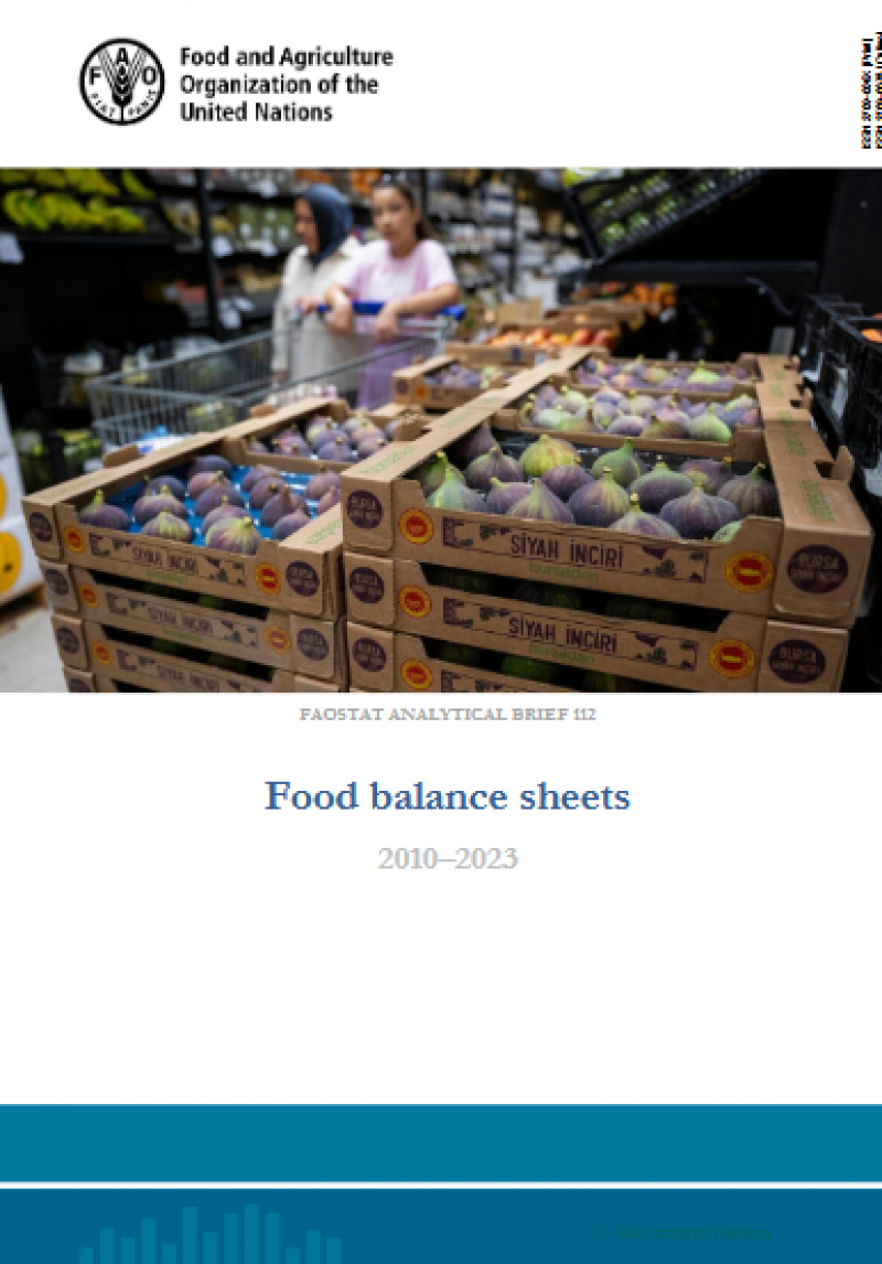 Hojas de balance de alimentos 2010–2023