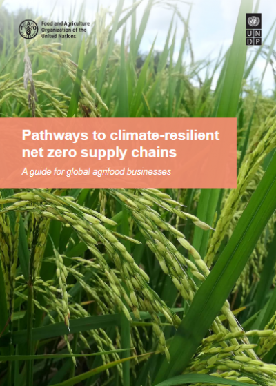 Vías hacia cadenas de suministro con cero emisiones netas y resilientes al clima: Una guía para empresas agroalimentarias globales