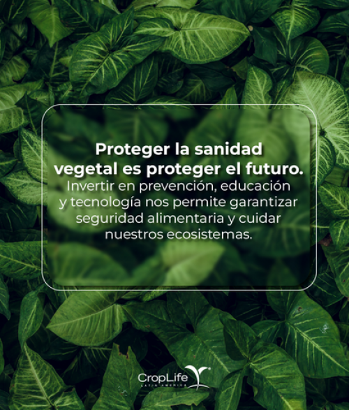 Cambio Climático