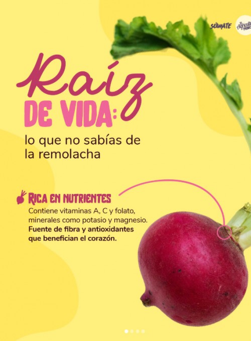 Raíz de vida: Lo que no sabías de la remolacha