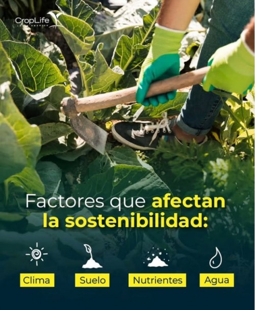 Factores que afectan la sostenibilidad