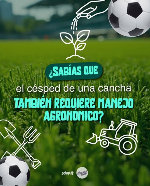 El césped de una cancha también requiere manejo agronómico
