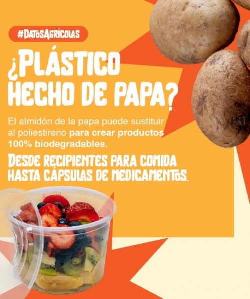 Plástico hecho de papa
