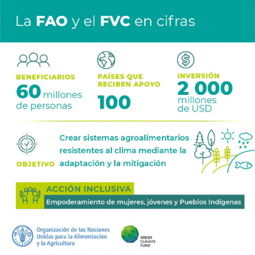 La FAO y el FVC en cifras