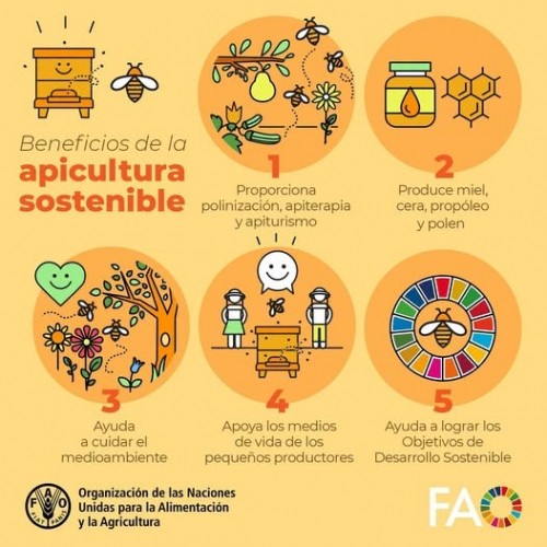 Beneficios de la Agricultura Sostenible
