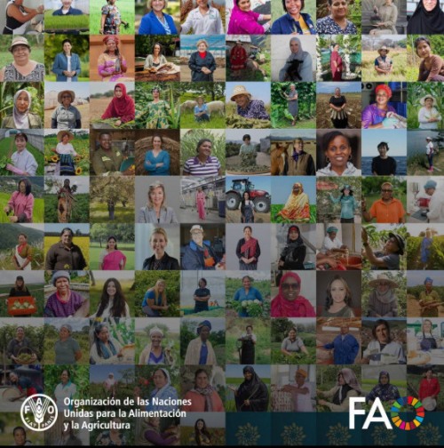 100 heroínas de la FAO en los sistemas agroalimentarios y el desarrollo rural
