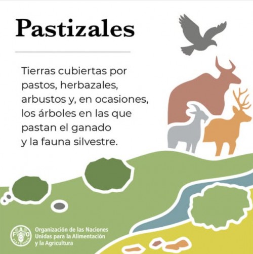 Pastizales