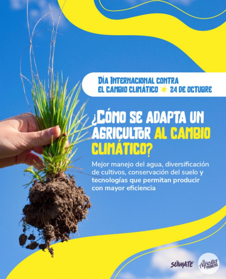 Día Internacional Contra El Cambio Climático 