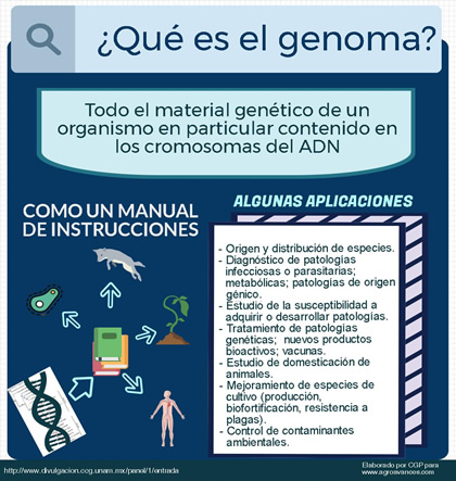 ¿Qué es el genoma?