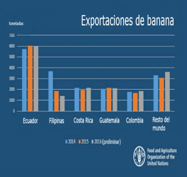 Panorama mundial de la exportación de banana