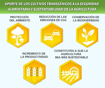 Aportes de los OGM a la seguridad alimentaria y sustetabilidad agrícola