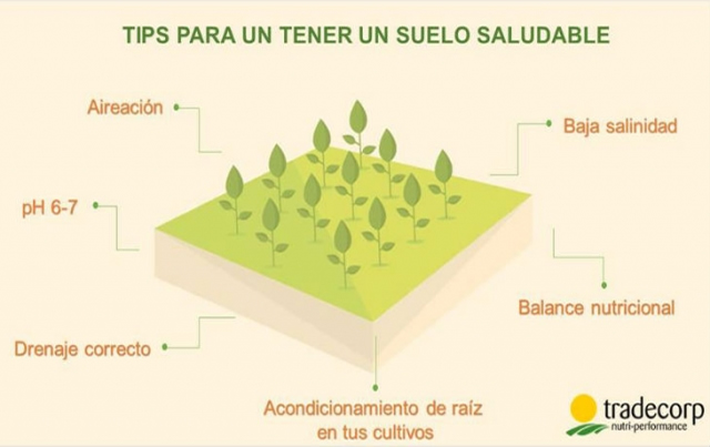 10 tips para tener un suelo saludable
